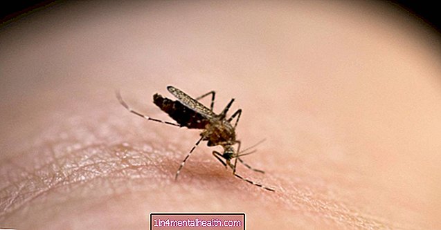 ¿Por qué las picaduras de mosquitos pican y se hinchan? - mordeduras y picaduras