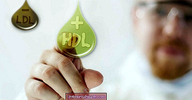 ¿Cuál es la diferencia entre el colesterol HDL y el LDL? - colesterol