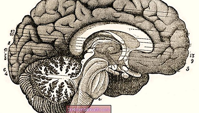 El cerebro encuentra una forma de adaptarse, incluso cuando eliminamos la mitad - epilepsia