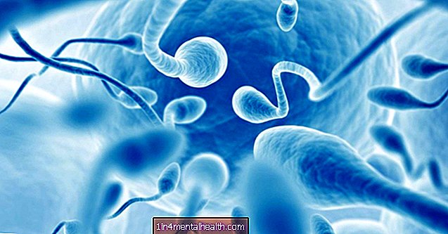¿Cuál es el vínculo entre el varicocele y la infertilidad? - Fertilidad