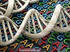 ¿Qué es el ADN y cómo funciona?