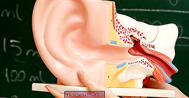 Revertir la pérdida auditiva al volver a crecer el cabello - audición - sordera