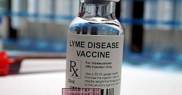 Vacuna contra la enfermedad de Lyme - sistema inmunológico - vacunas