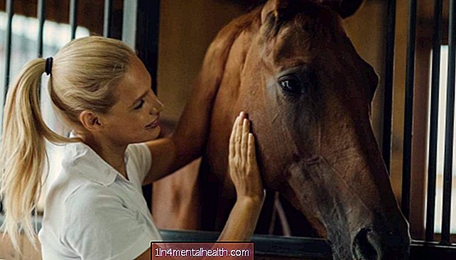 психологія - психіатрія - Як коні сприймають і реагують на людські емоції