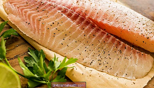 ¿Es seguro y saludable comer pescado tilapia? - salud pública