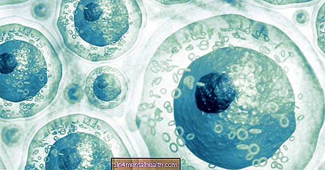¿Qué son las células madre y qué hacen? - investigación con células madre