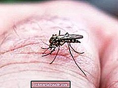 Kõik, mida peate teadma dengue-palaviku kohta - troopilised haigused